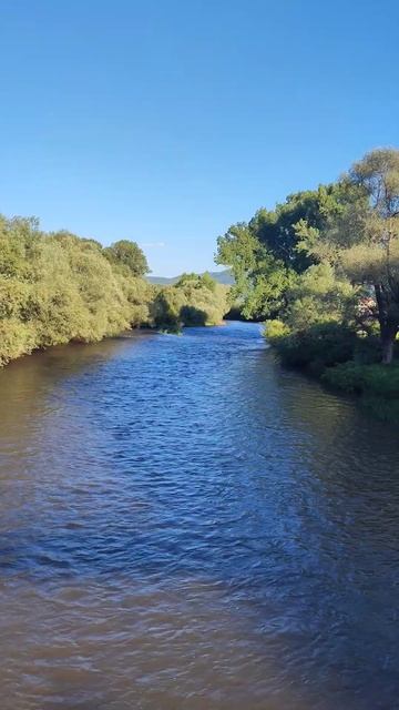 река Нишава, Сербия. Nišava Srbija #naturewalk #naturetherapy #relaxing #water #river #niš смотреть онлайн