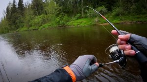 УДАЧНАЯ РЫБАЛКА НА ГОЛАВЛЯ В МАЕ! Трофейный голавль в дождь на удочку до 5 гр!