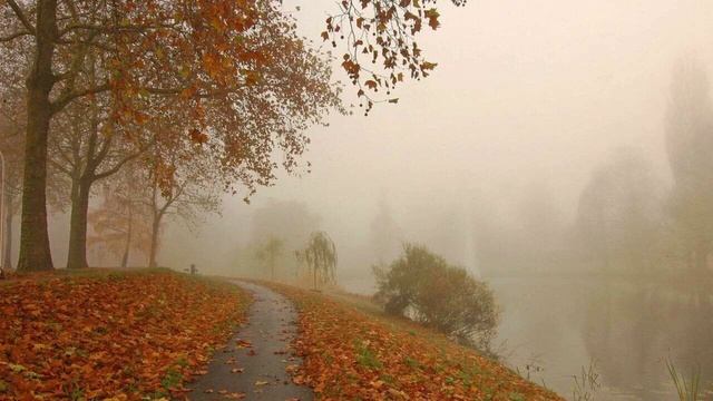 "Осенний туман" - ПЕРЕЛОМ (OFFICIAL MUSIC VIDEO) смотреть онлайн