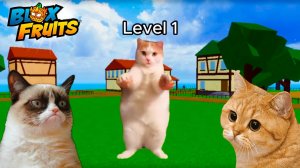 БЛОКС ФРУТС но КОТИКИ🍈🌊РОБЛОКС ИСТОРИЯ КОТОВ от НУБА до ПРО в 1 МИРЕ МЕМЫ и ПРИКОЛЫ мультики