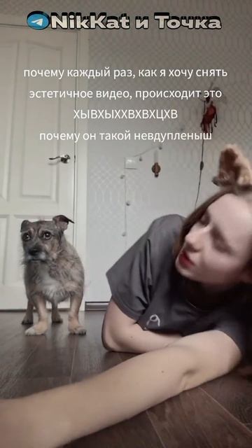 Сасавот и Эвелон, Гта Сан Андреас, Пёс |Свежие Мемы из TikTok в Shorts! #nikkat #мем #новости смотреть онлайн