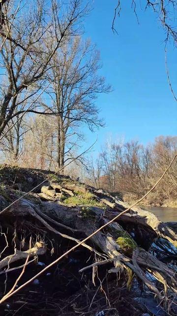 Nishava River, Nis, Serbia Shot смотреть онлайн