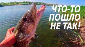 🔥 ТОП-5 НЕОБЫЧНЫХ СЛУЧАЕВ при ЛОВЛЕ ЩУКИ на воблеры и блесны (руками, отцепом и даже спиной) 🔥