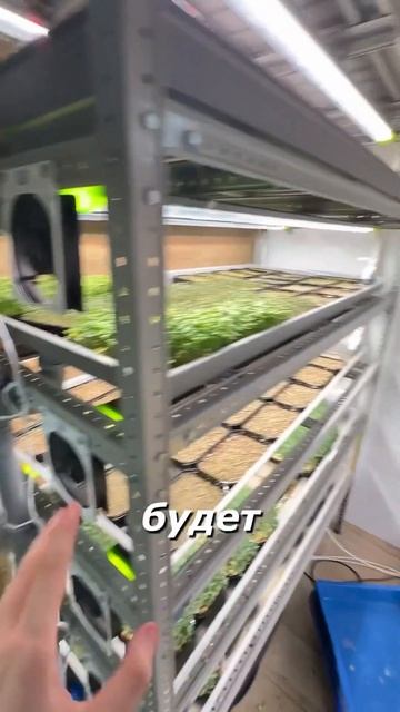 Не хилый заработок на кулерах!☘️ смотреть онлайн