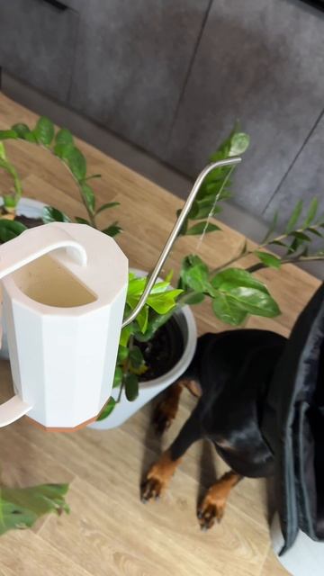 Как вам ? смотреть онлайн