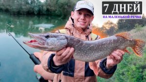 Большие щуки в маленькой речке!/ Рыбалка на спиннинг