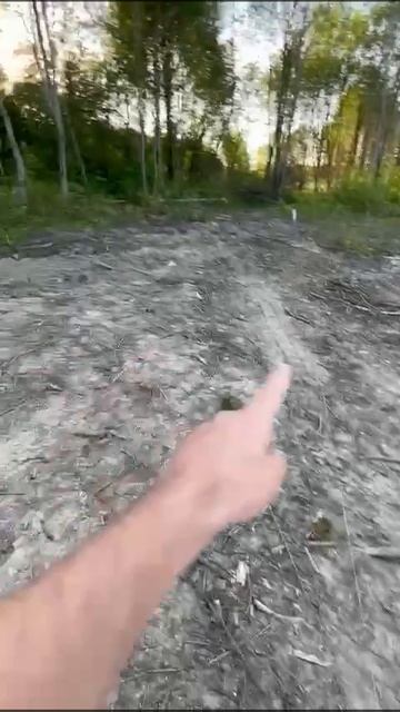 Геодезические работы, разметка границ участка КП Павловская Жемчужина 23.05.2024