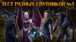 Тест Спутников №5: Грейс Ревуар, Лисэра, Утренний шлем и др. | Neverwinter Online