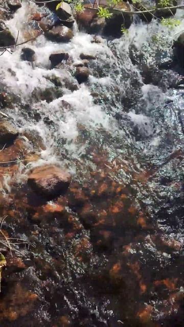 Naturetherapy. The calmbess of water #waterfall #naturelovers #relaxing #hiking #naturewalk смотреть онлайн