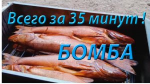 Как закоптить судака