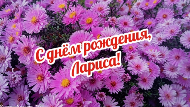 С днём рождения, Лариса! смотреть онлайн