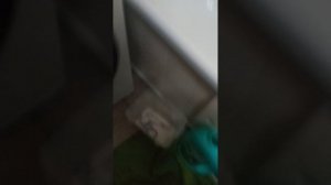 полоскание от пены