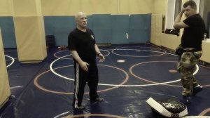 Уличная техника защитно атакующих действий.В.Н.Крючков