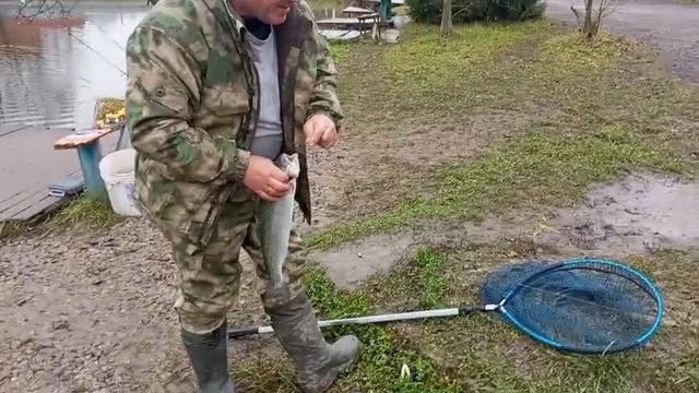 Светлые Горы Форель2 07.11.2025г. смотреть онлайн