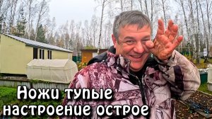 осень на даче