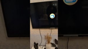 Видеоинструкция по пользованию телевизором.