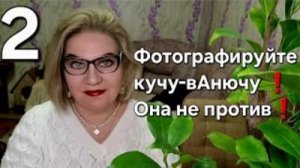 Фотографируйте кучу-вАнючу❗️ Она не против❗️