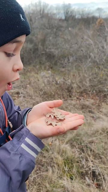 Дубовое безумие в Сербии (Бадњак) Shot Exploring Serbia смотреть онлайн