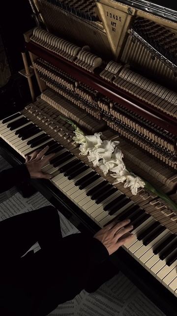 Time back⏳ #aesthetic #piano #calm смотреть онлайн