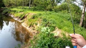 Мормышинг в лесном ручье