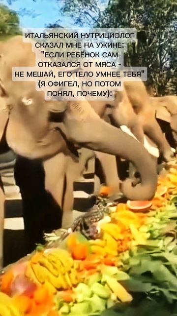Мой внук не ест мясо