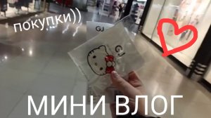 МИНИ ВЛОГ С МИЛКОЙ))