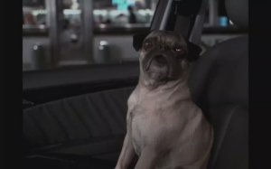 i like to move it- люди в черном