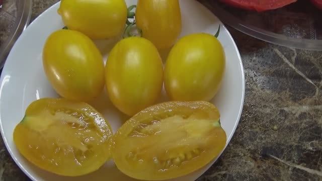 Томат Золотые Гейтса - очень сладкие плоды с мармеладной мякотью. №1101. Обзор сорта и дегустация. смотреть онлайн