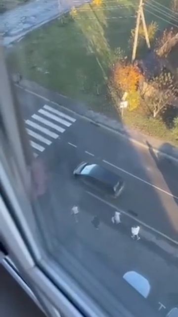 хряки из тцк решил упаковать ещё и бабу смотреть онлайн