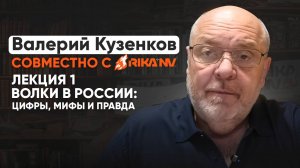 RikaNV и Валерий Кузенков. Волки в России: цифры, мифы и правда