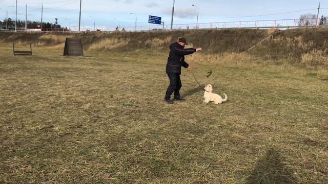 Monsieur Couzia (КУЗЯ)