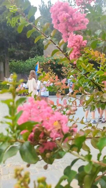 Невероятные приключения студентов ABC school в Китае