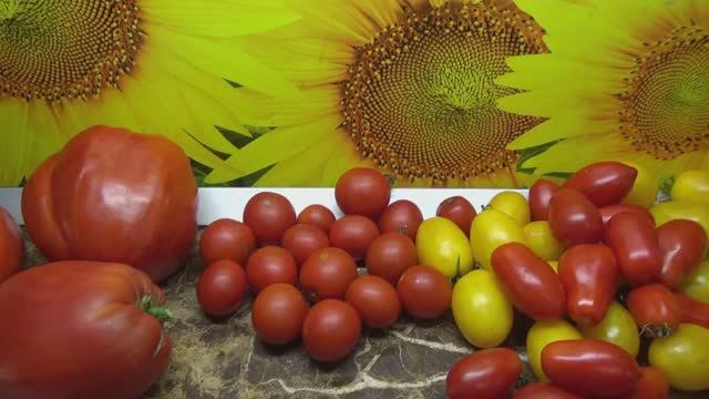 Лучшие засолочные томаты. Томат Знаменитая голландская девушка. №944.Обзор сорта и дегустация. смотреть онлайн