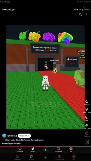 SVID_20251107_104955_1.mp4