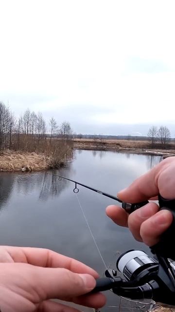 Abu Garcia Eradicator Realfinesse Prototype ERFS 46Pro ST Navigator #микроджиг #рыбалка #мормышинг смотреть онлайн