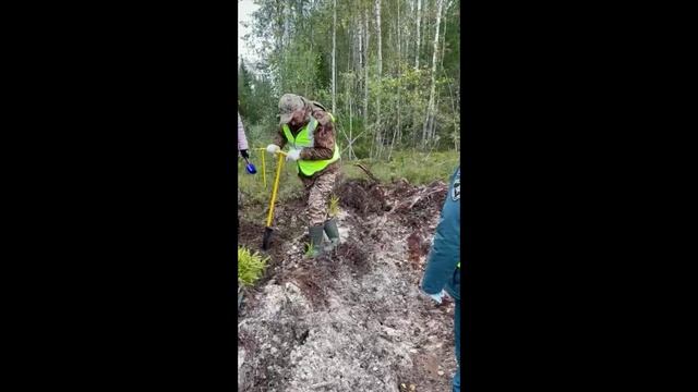 Сохраним лес смотреть онлайн