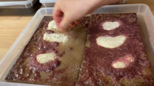 Разведение трубочника!