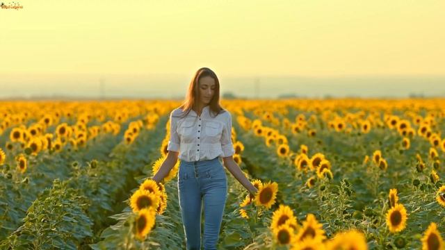 Davvi - I am Sorry (Retro song) смотреть онлайн