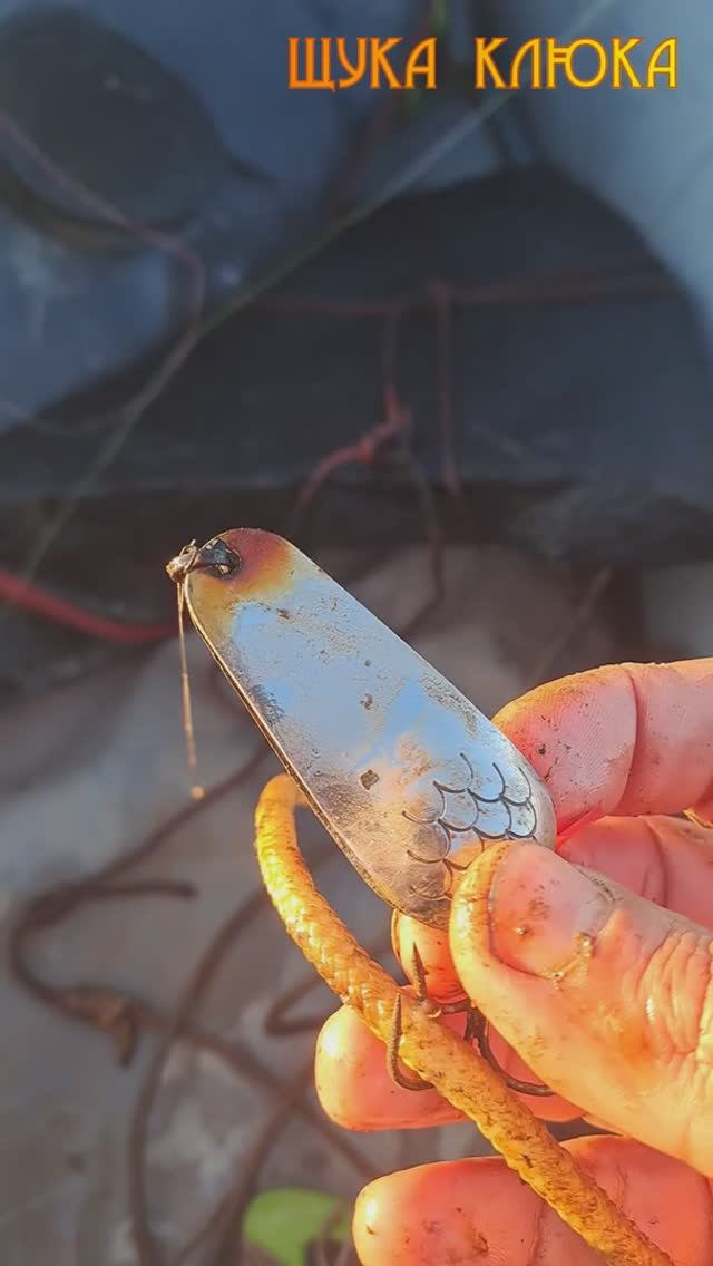 🔥 ЛОВУШКА для ПРИМАНОК на дне озера 🔥 #рыбалка #спиннинг