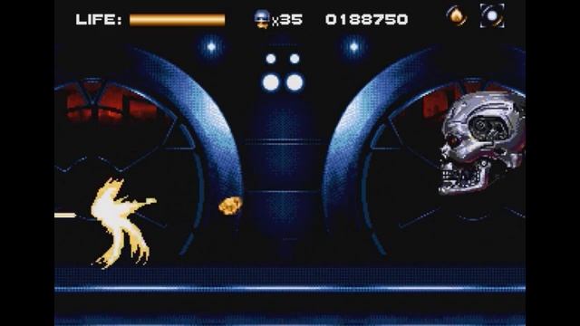 Robocop vs Terminator. Боссейн