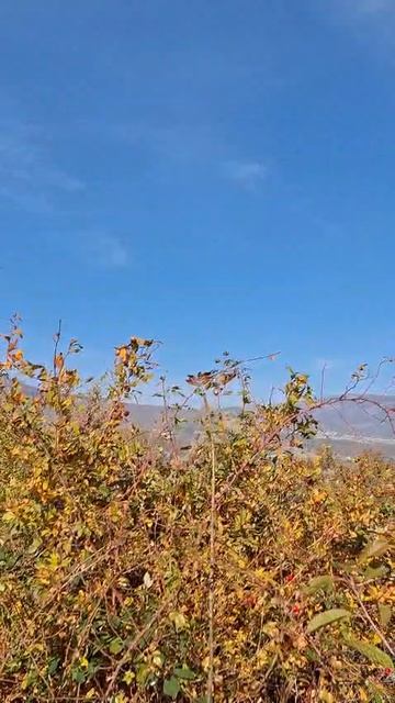 Продажа земельного участка в Большой Алуште урочище мотул