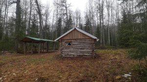 Крупный хариус осенью. Живу один в избушке. Быт и рыбалка на речке.