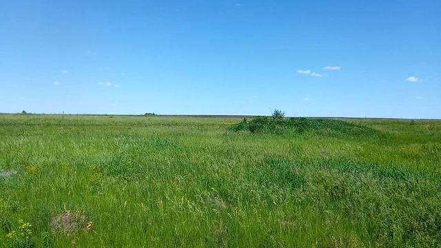 Исчезнувшая деревня Кафтыревка 2-я, Турковский район.