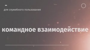 Совместная работа в команде