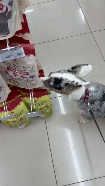 Нашей Бетти два года. смотреть онлайн