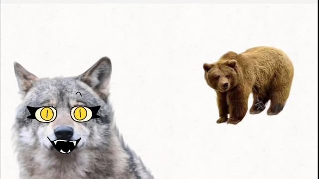 маринованый медведь 😱🐻 смотреть онлайн