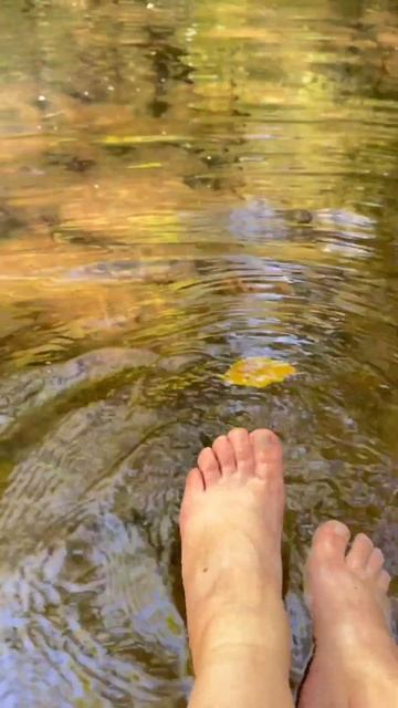 Takvu jesen volim #srbija #exploreserbia #hiking #serbiatourism #nature #mountains #adventures смотреть онлайн