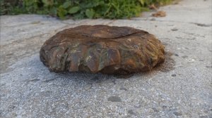 Интересные находки находят в горах | Окаменелый артефакт