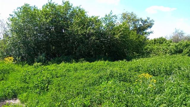Исчезнувший поселок Трехпрудный (правый берег), Турковский район.
