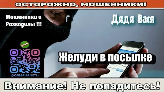 АФЕРИСТЫ 404, Жёлуди в посылке.. смотреть онлайн